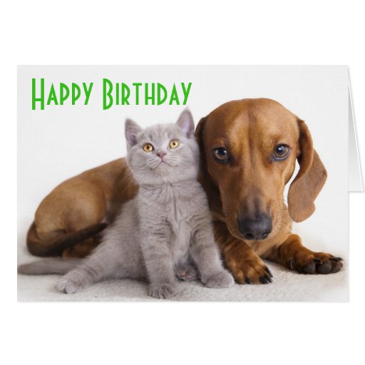 happy_birthday_dachshund_puppy_dog_card-rdeb1b1a9d0434294832c13caa2edb145_xvuak_8byvr_512.jpg