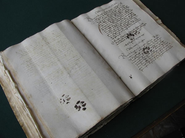 cat-paw-prints-15th-century-book.jpg