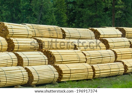 stock-photo-fence-posts-stacked-in-bundles-at-a-lumber-mill-196917374.jpg