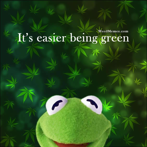 kermit-stoner-easier-green-weedmemes.jpg