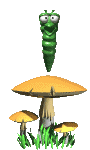 animated-mushroom-image-0002.gif