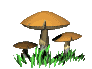 animated-mushroom-image-0004.gif