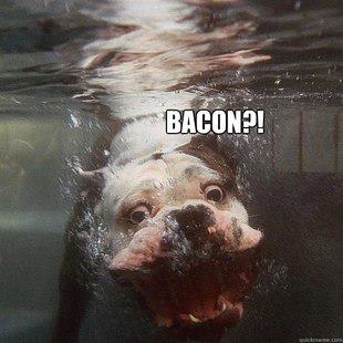 Bacon-dog-3.jpg