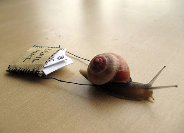 Real-Snail-Mail-Delivery-1.jpg
