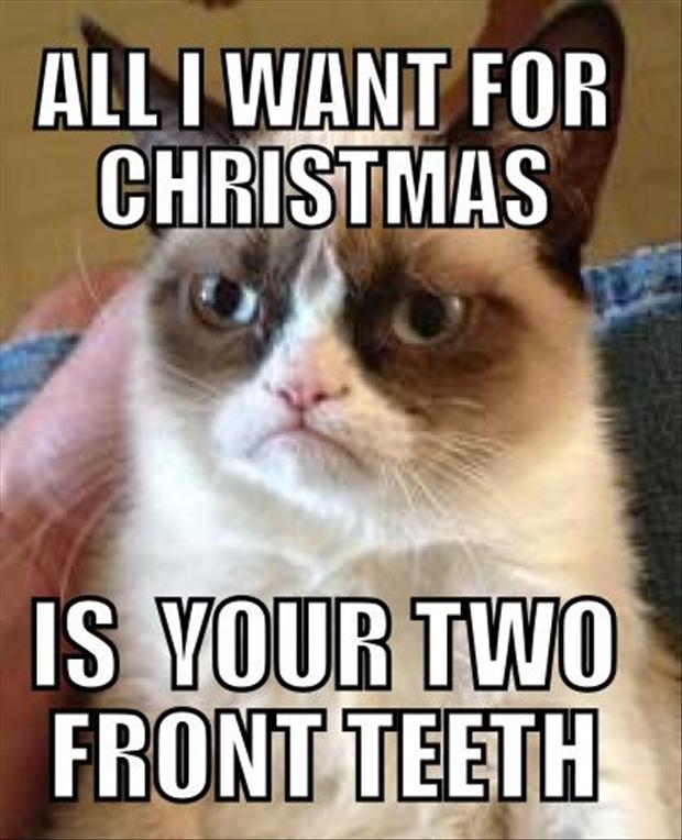 grumpy-cat-all-i-want-for-christmas-is-your-two-front-teeth.jpg