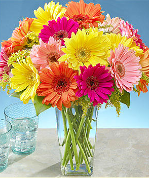 Colorful+daisies+valentines+day+image.PNG