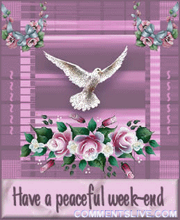 287571-Have-A-Peaceful-Weekend.gif