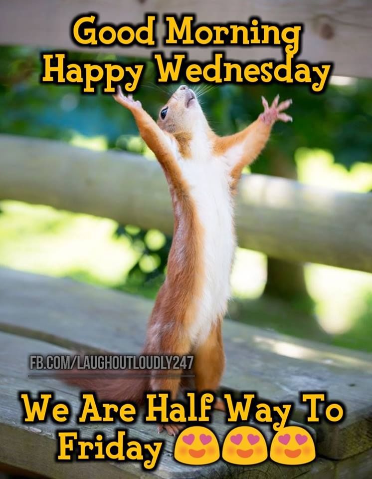 336246-We-Are-Halfway-To-Friday-Good-Morning-Happy-Wednesday.jpg