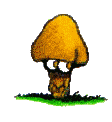 graphics-mushrooms-163319.gif