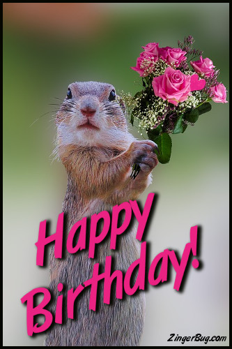 happy_birthday_cute_squirrel_with_bouquet.jpg