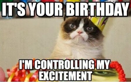 exictement-cat-birthday-meme.jpg