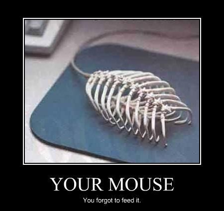 demotivational-posters-your-mouse.jpg