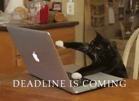 cat-deadline-is-coming-animated-gif.gif