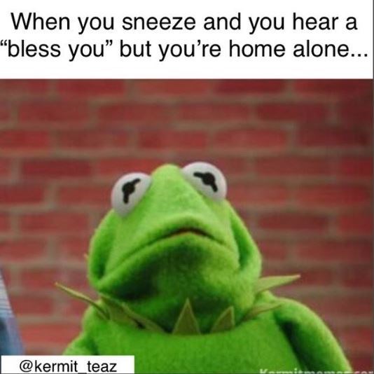 when-you-sneeze-and-you-hear-a-bless-you-but-youre-home-alone-above-a-pic-of-kermit-looking-scared