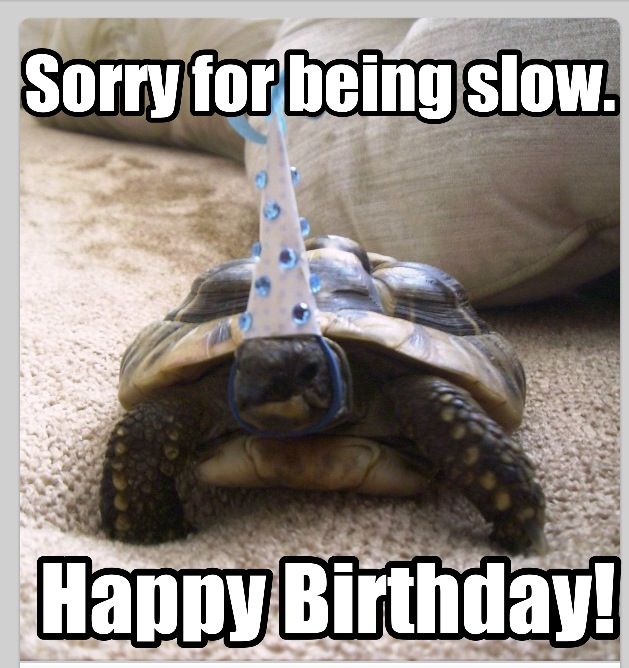 45398b770f260fc85dd8ab140c519153--turtle-birthday-turtle-party.jpg