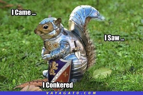 7195da32bb8e06a0a5b3838092936297--knight-in-armor-funny-squirrel.jpg