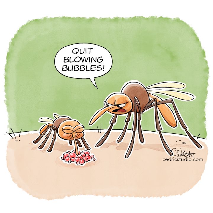 a1a13feb27487f9a5b590540b6c352b3--mosquitos-funny-comics.jpg