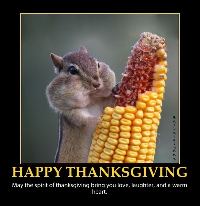 aa7b85d402b815dd2715db63279f2f90--happy-thanksgiving-canada-thanksgiving-feast.jpg