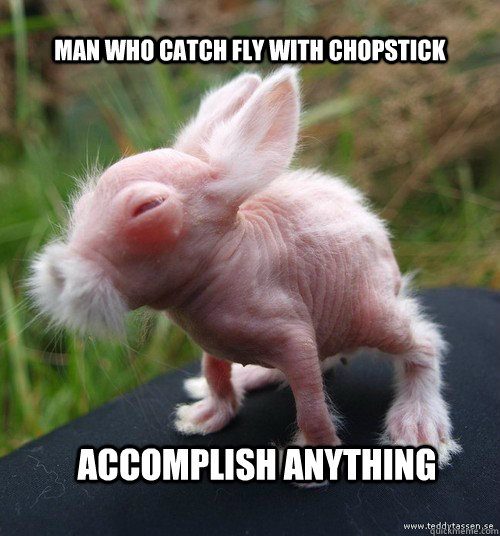 Man-who-catch-fly-with-chopstick-accomplish-anything-Bunnies-Memes.jpg