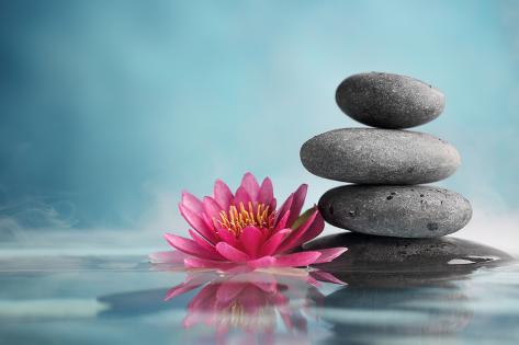 liang-zhang-spa-still-life-with-water-lily-and-zen-stone-in-a-serenity-pool_a-G-12352013-14258384.jpg