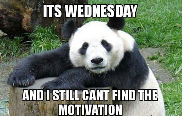 wednesday-meme-i-still-cant-find-the-motivation.jpg.