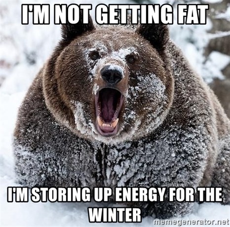im-not-getting-fat-im-storing-up-energy-for-the-winter.jpg