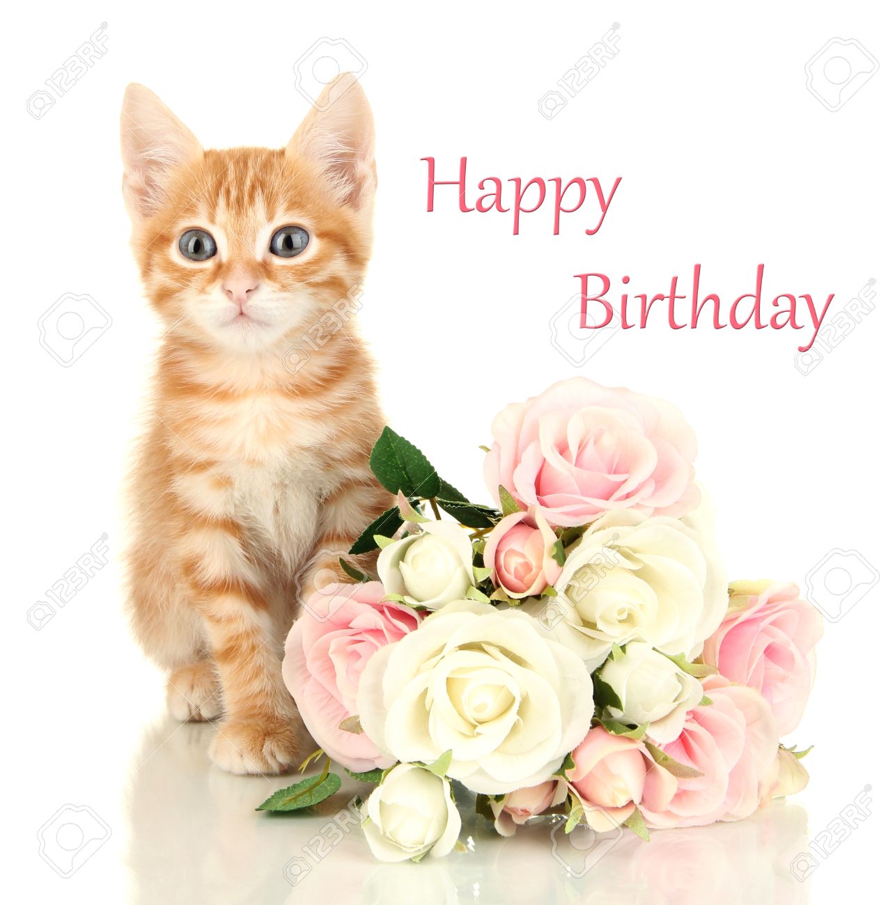 30840347-birthday-postcard-cute-little-red-kitten-with-roses-isolated-on-white.jpg