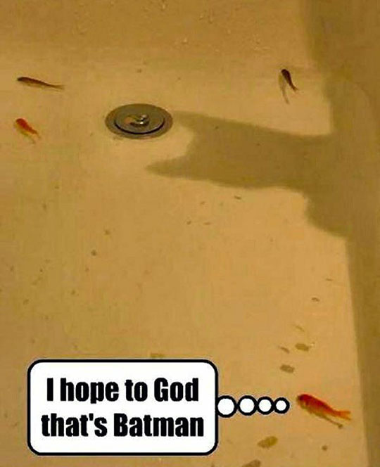 the-best-funny-pictures-of-fishes-bathtub-shadow-cat.jpg