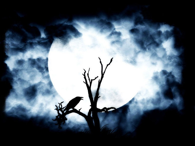 moon-mist-night-bird.jpg.