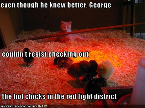 red-light-district-chicks.jpg