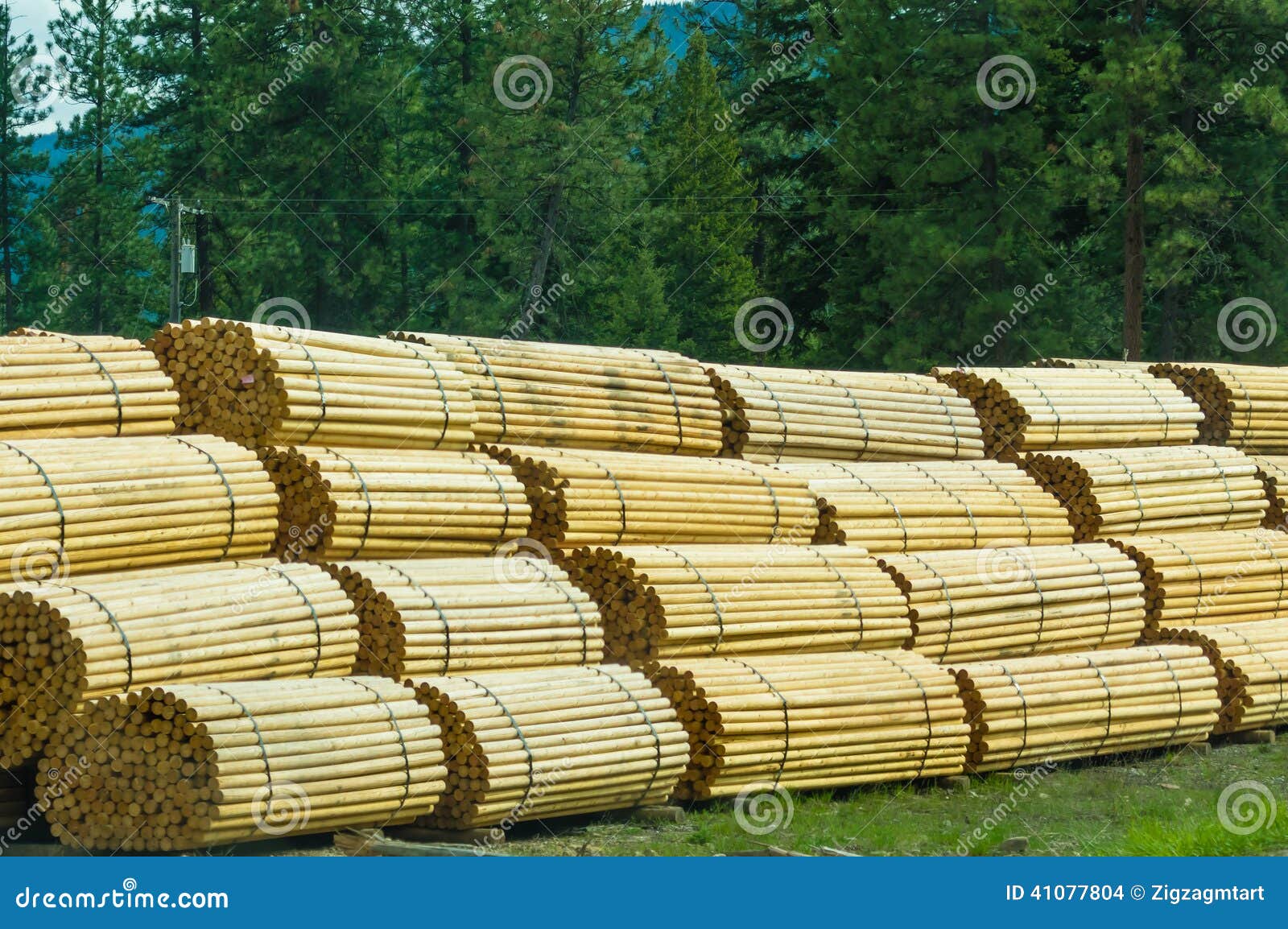 stacks-fence-posts-lumber-mill-stacked-bundles-41077804.jpg