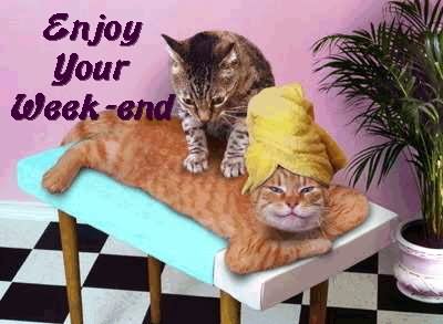 Enjoy-Your-Weekend-Cats-Picture.jpg