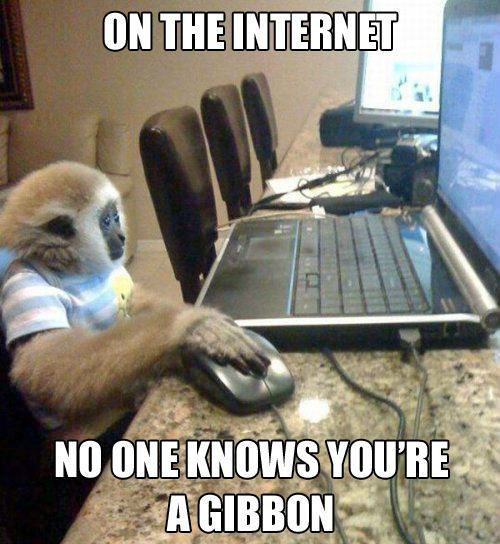On-The-Internet-No-One-Knows-You-Are-A-Gibbon-Funny-Nonsense-Meme-Picture.jpg